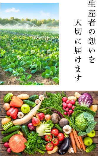 株式会社suiは生産者の想いを大切に、新鮮なお野菜をお届けいたします