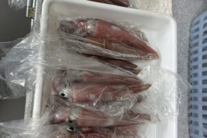 IMG_6601 IMG_6601